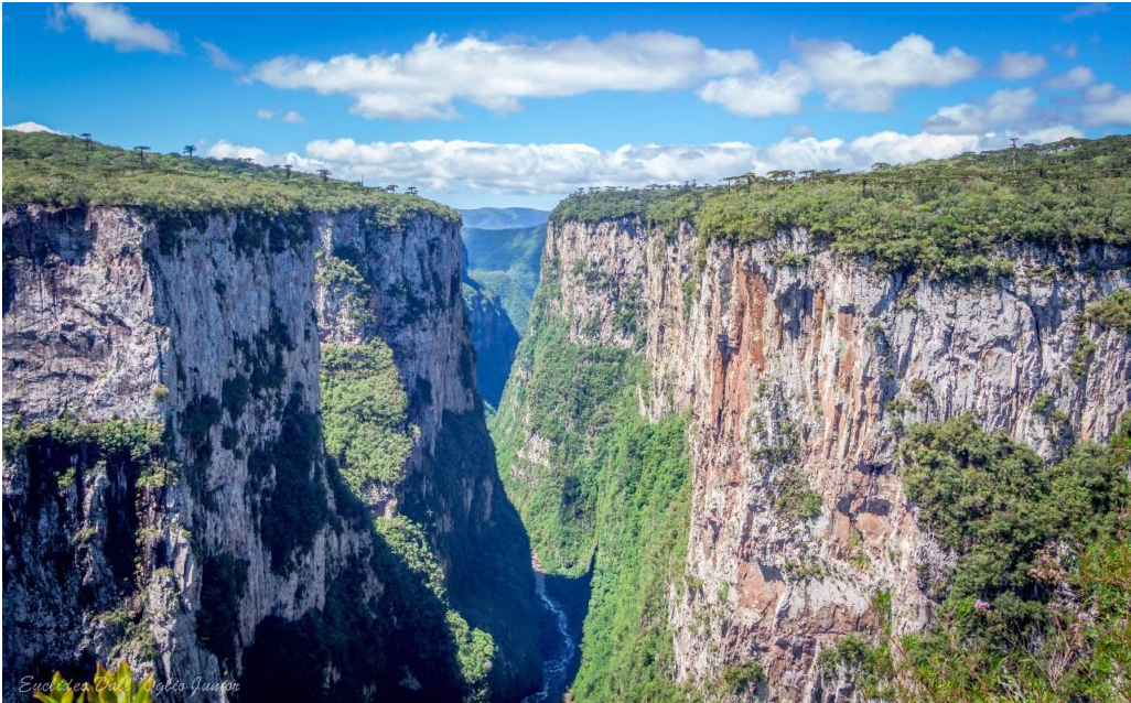 Ecoturismo