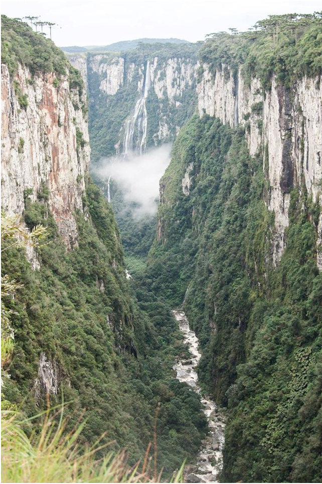Ecoturismo