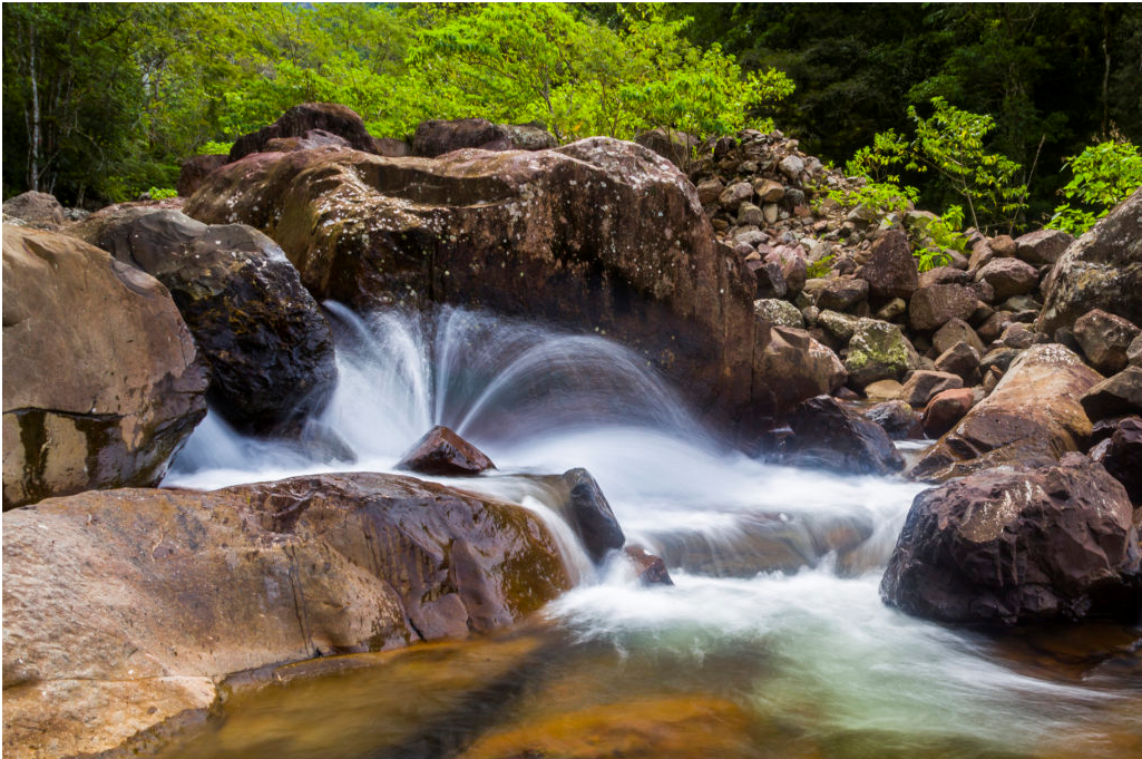 Ecoturismo